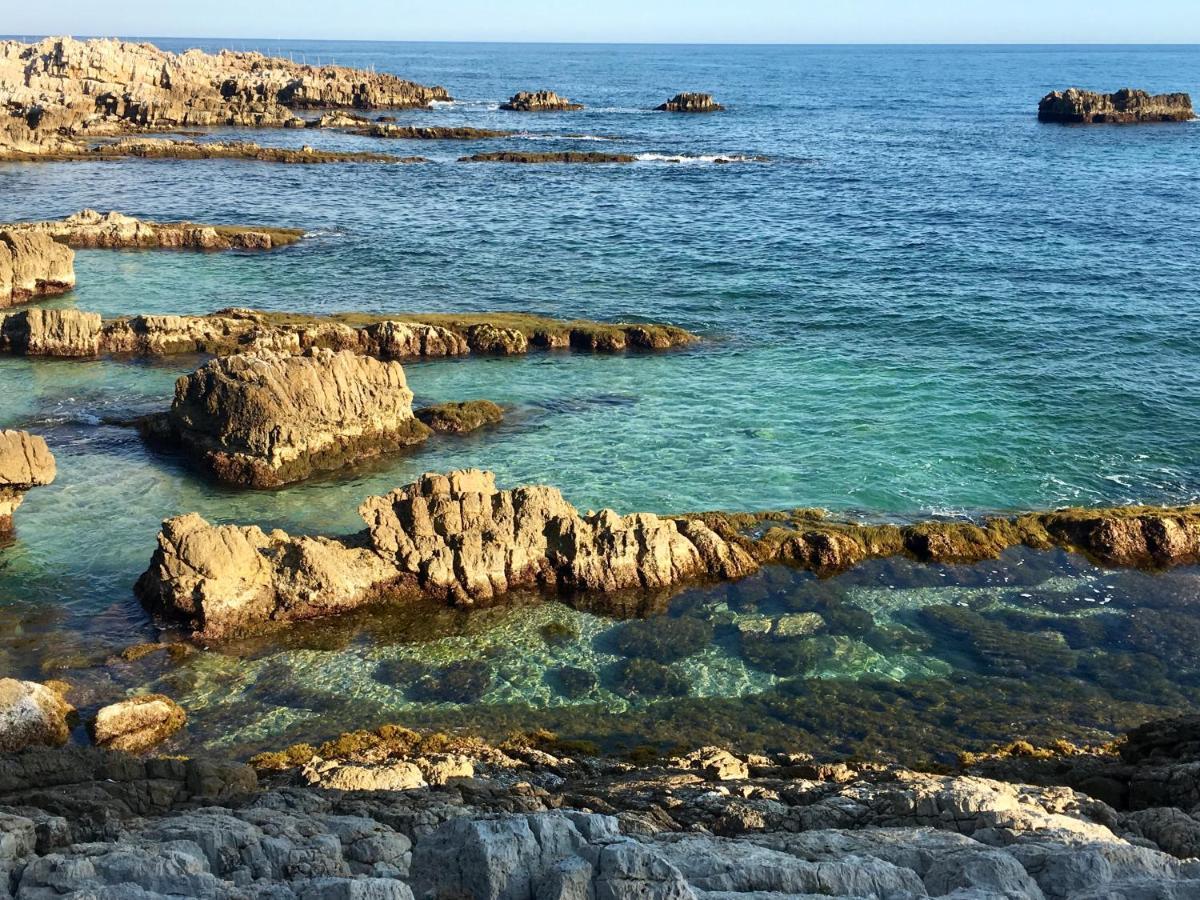 Artistic Antibes Apartment Экстерьер фото